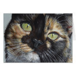 Cali's Stare Tortie Tortoiseshell Cat Painting Art Greeting Cards