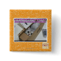 Call 1-800-LOLCATS Pinback Button