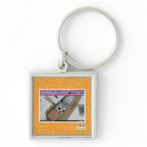 Call 1-800-LOLCATS Keychains