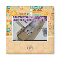 Call 1-800-LOLCATS Refrigerator Magnets