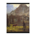 Call of the Wild - Albert Bierstadt Postcard