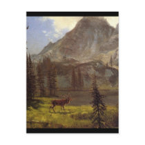 Call of the Wild - Albert Bierstadt Postcard