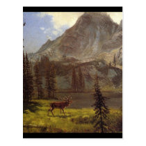Call of the Wild - Albert Bierstadt postcards