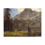 Call of the Wild Post Cards
