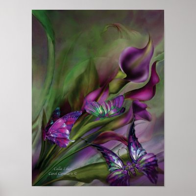 Calla Lilies Art Poster/Print by romanceworks