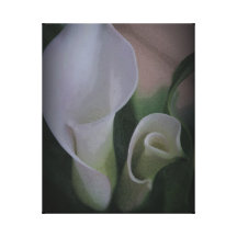 Calla Lilies Gallery Wrap Canvas