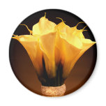 Calla Lilies Fridge Magnet