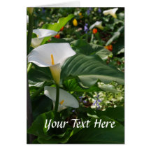 calla lillies greeting card