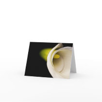 Calla Lilly Greeting Cards