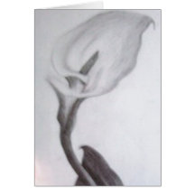 Calla Lilly Cards