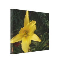 Calla Lilly Flower Gallery Wrap Canvas