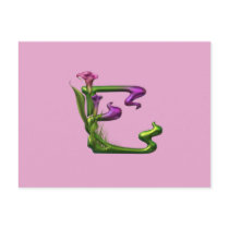 Calla Lily Fantasy Postcard