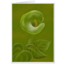 CALLA  LILY GREETING CARDS