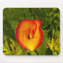 Calla Lily Mouse Pads