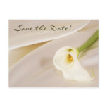 Calla Lily On White Satin, Save the Date! Post Card