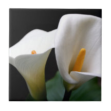 Calla Lily  Tile