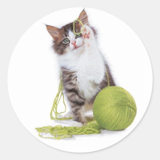 Calling Alll Cat Lovers! Sticker