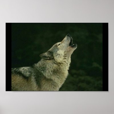 Calling the pack print by Minou1