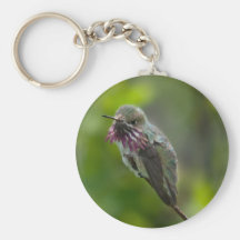 Calliope Hummingbird Key Chains