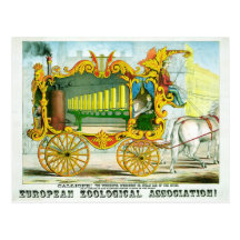 Calliope - The Wonderful Operonicon Post Cards