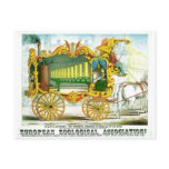 Calliope - Wonderful Operonicon Chromolithograph postcards