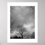 Calm before the Storm Canvas Print