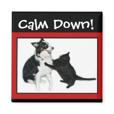 Calm Down! Fridge Magnets by Robeth