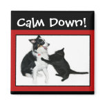 Calm Down! magnets