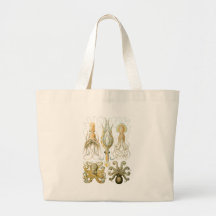 Calmar et poulpe sacs