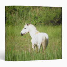 Camargue Horse in the Alpes Cote d'Azur of the Vinyl Binder
