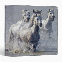 Camargue horses running on marshland to cross 3 ring binder