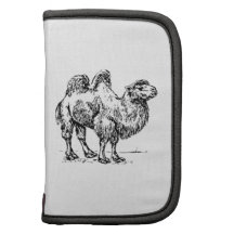 Camel 1 planners