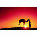 Camel and driver at sunset, India Photo Sculpture