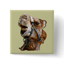 Camel Badge or Button