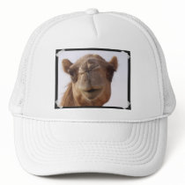 Camel Baseball Hat