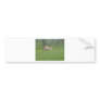 Camel Bumper Sticker