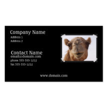 Camel Business Card