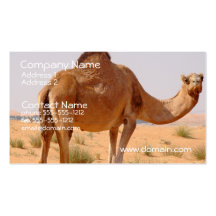 Camel Business Card