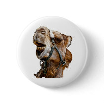 Camel Button or Badge