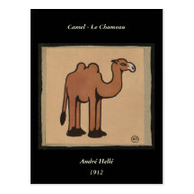 Camel - Colourful Antiquarian Book Illustration Postcards