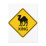 Camel Crossing Highway Sign Postcards