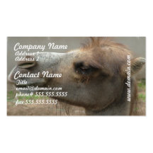 Camel Head Business Cards
