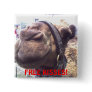 Camel Kisses Pin