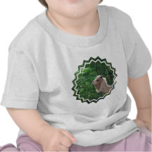 Camel Photo Design Baby T-Shirt