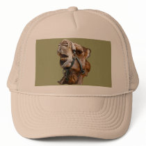 Camel Picture Hat