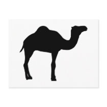 Camel Post Cards
