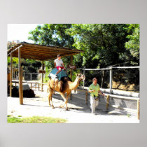 Camel ride poster