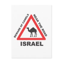 Camel Sign in Israel Post Card