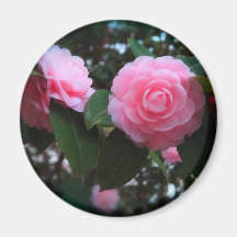 Camelias Fridge Magnets