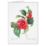 Camellia Greeting Card